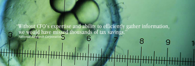 Slide 10